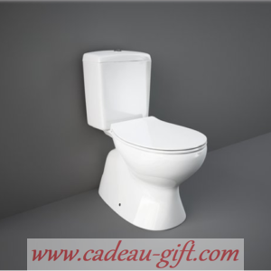 WC complet en livraison a domicile