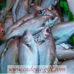 Livraison de poisson frais à Antananarivo Madagascar