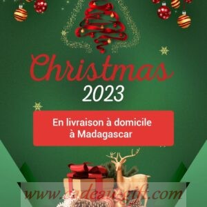 NOËL 2023 ET NOUVEL AN 2024