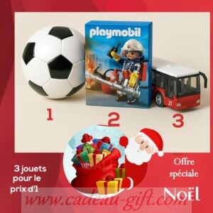 Pack jouet Playmobil Antananarivo livraison