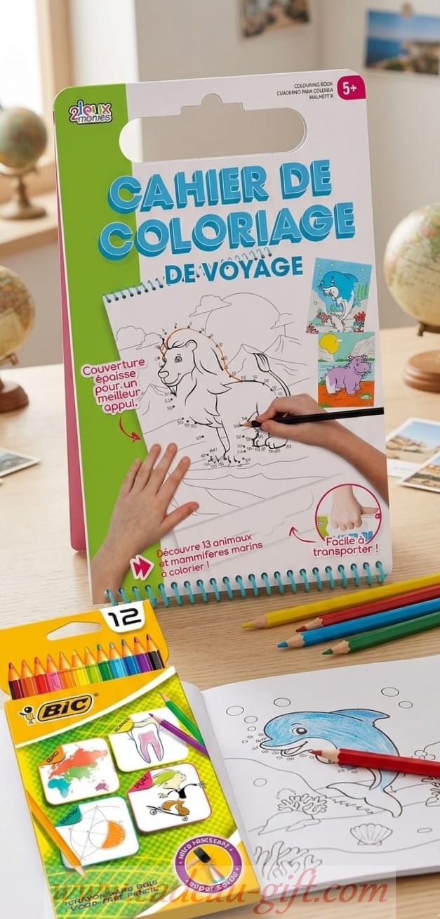 ALBUM DE COLORIAGE ET CRAYONS DE COULEUR Cadeau enfant activités Madagascar